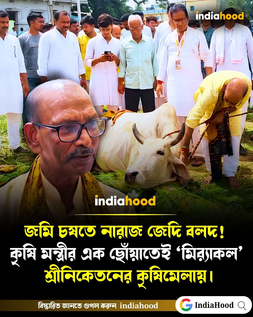 জমি চষতে নারাজ জেদি বলদ!